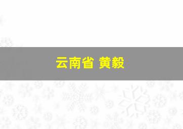 云南省 黄毅